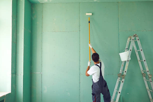 Best Mold Removal for HVAC Installations  in Gibsonburg, OH