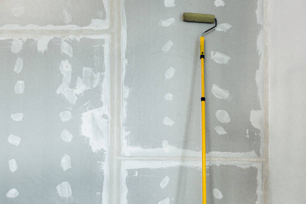 Best Industrial Mold Remediation  in Gibsonburg, OH