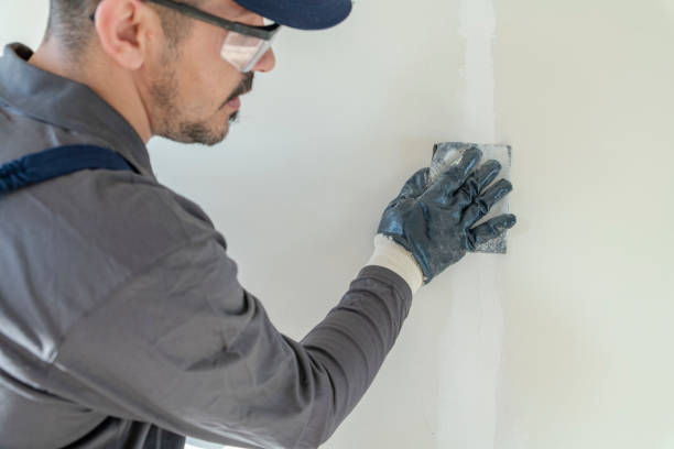 Best Environmental Consulting for Mold Prevention  in Gibsonburg, OH