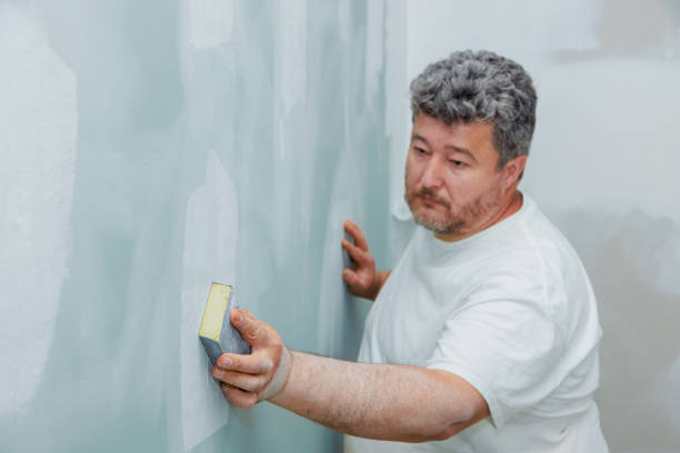 Best Attic Mold Removal  in Gibsonburg, OH