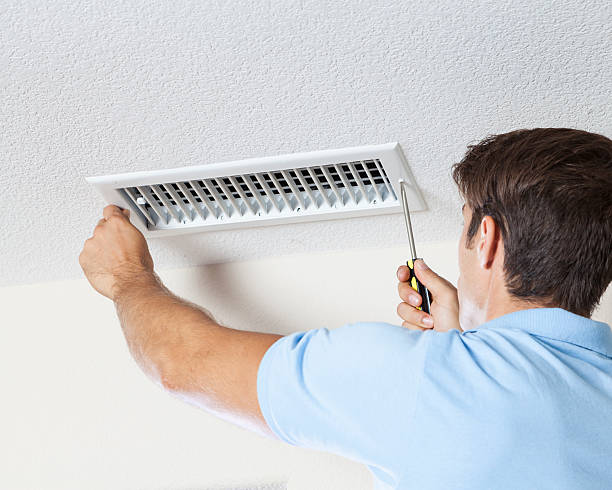 Best Emergency Mold Remediation  in Gibsonburg, OH