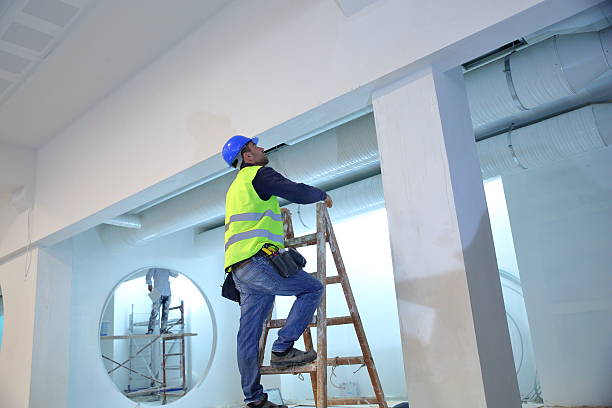 Best Air Quality Testing for Mold Spores  in Gibsonburg, OH